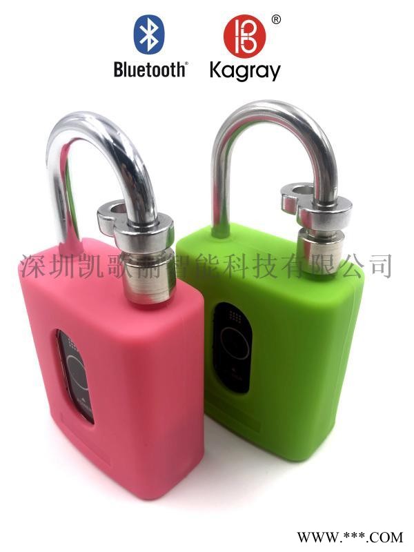 Kalewa工業藍牙防水掛鎖