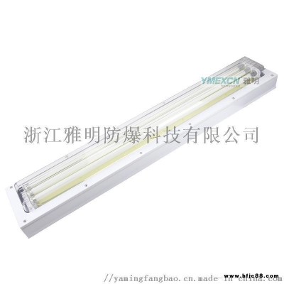 2x20w防爆潔凈熒光燈，雙管20w防爆潔凈熒光燈