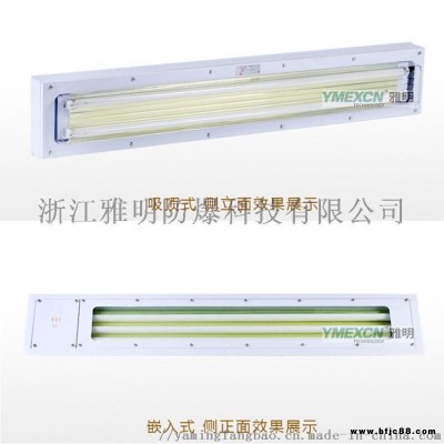 2x20wLED防爆熒光燈雙管LED防爆熒光燈