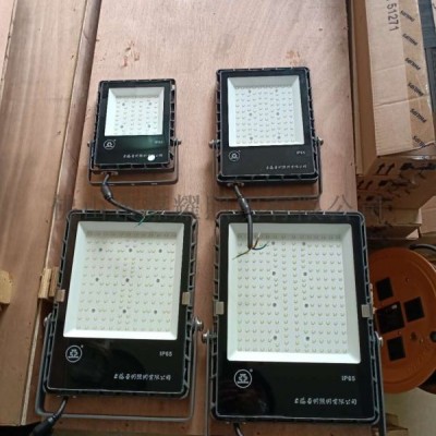 上海亞明100W150WLED泛光燈FG65A