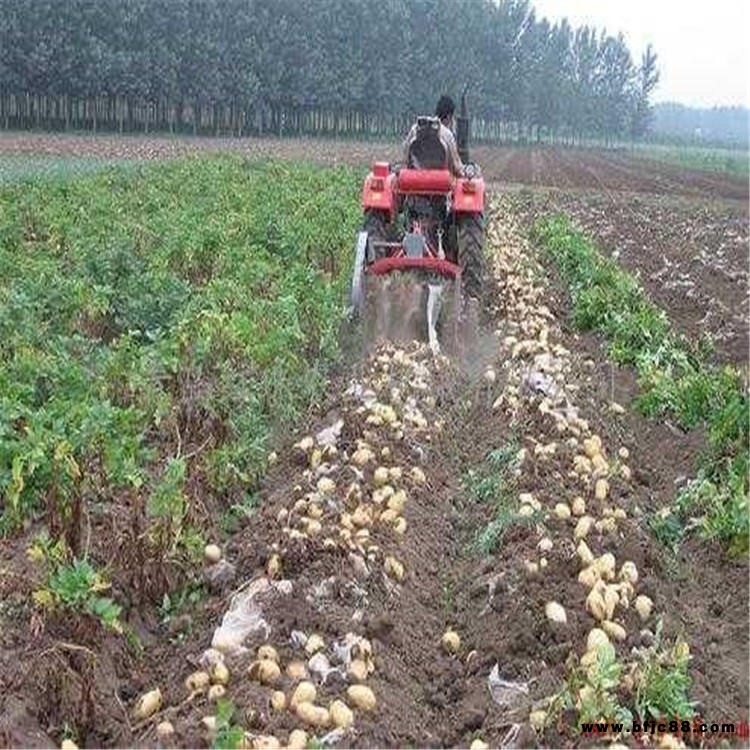 收獲機馬鈴薯地下根莖農作物地瓜大蒜黃豆收獲機 小型土豆挖掘機