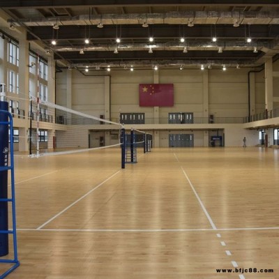 雙龍骨木地板 多層板運動木地板   標準尺寸木地板 實木木地板