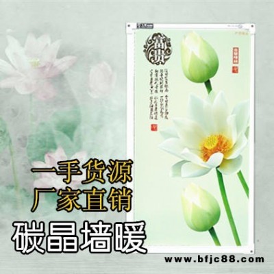 石墨烯電暖器 煤改電中標品牌 廠家直銷 電暖畫 電暖墻 600W