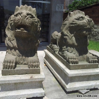 青石石雕獅子 招財(cái)獻(xiàn)錢獅港幣石頭獅子 福建石雕廠家 大鵬石材