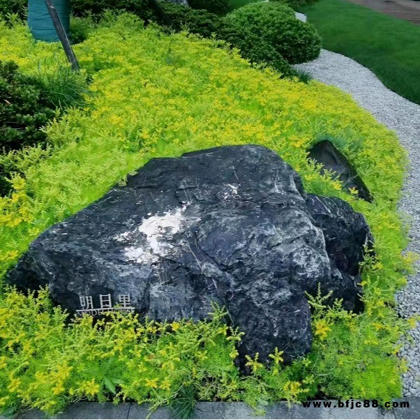 黑山石 枯山水黑色景觀石 庭院駁岸野山石