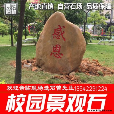校園景觀石 園林觀賞石 新品景觀石 園林布景觀賞石批發