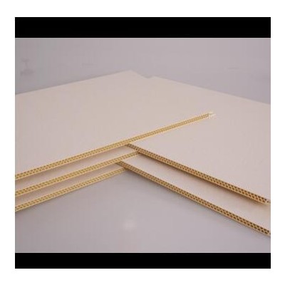 海寧鼎森裝飾加強型護墻板、集成墻板【新模具，蜂窩孔】