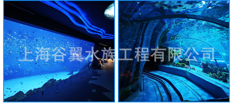 板材生產(chǎn)廠家 透明亞克力裝飾板定制 海洋館亞克力弧形視窗隧道示例圖7