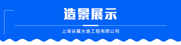 板材生產(chǎn)廠家 透明亞克力裝飾板定制 海洋館亞克力弧形視窗隧道示例圖9