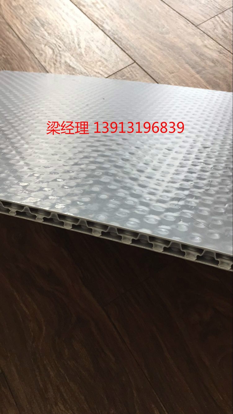 塑料蜂窩板 中空蜂窩板板直銷(xiāo) 中空板/蜂窩板  廠家出貨 可定制示例圖3