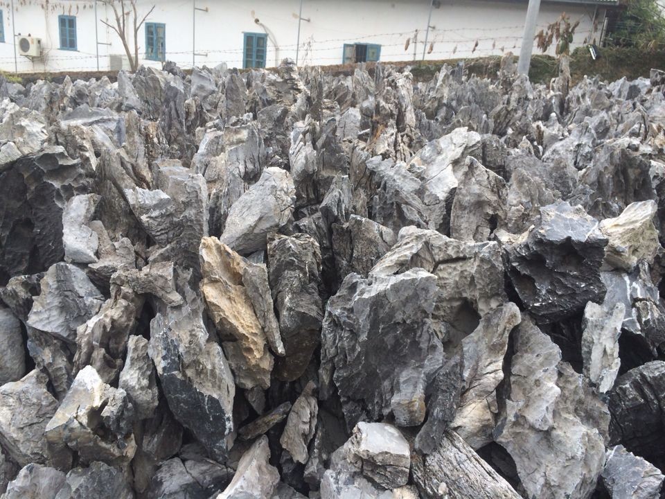 供應綠地景觀石，各種形狀園林景觀石，產地直銷示例圖22
