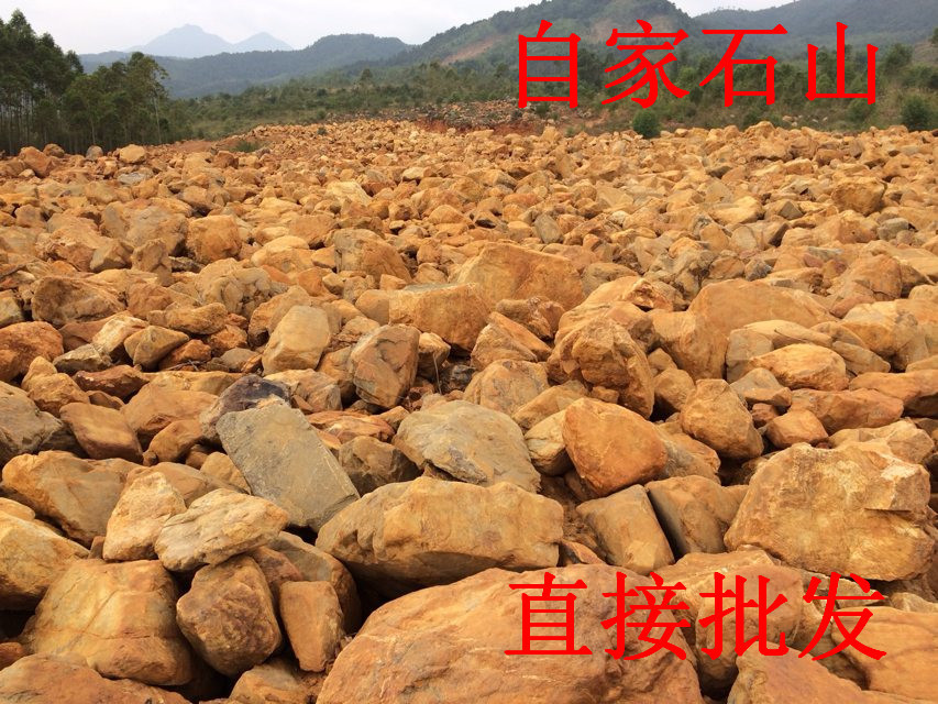 園林石，衡陽景觀石，衡陽假山石，衡陽黃蠟石，衡陽大黃石示例圖5