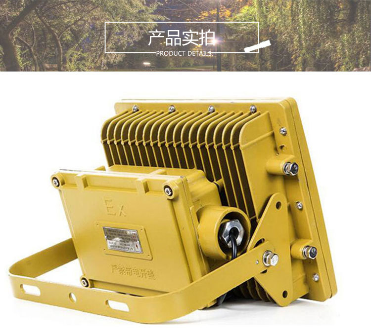 正安 CCD97同款防水防爆泛光燈 LED加油站防爆燈 化工廠照明燈示例圖13