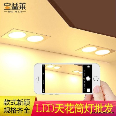 LED天花筒燈批發 格柵燈廠家 寶益萊暗裝雙排斗膽燈