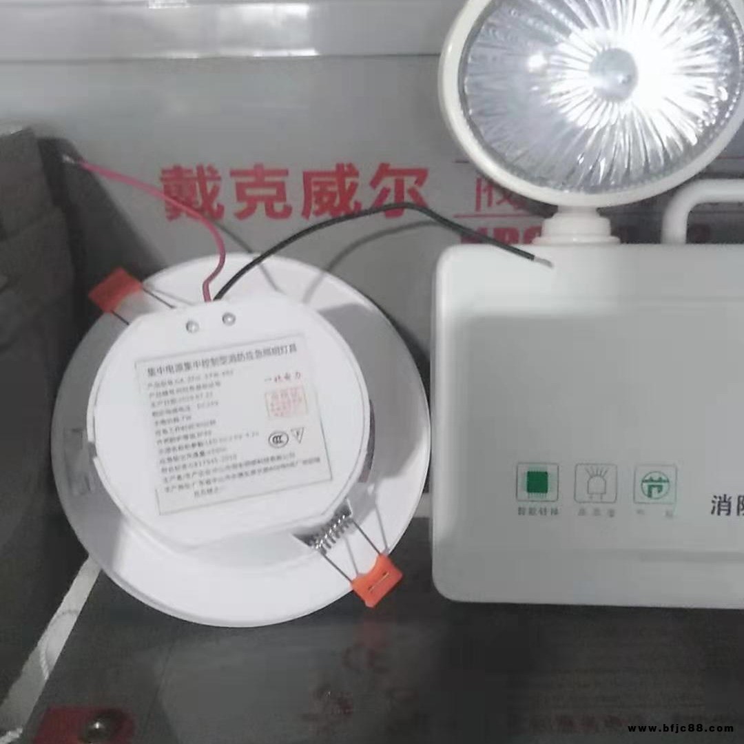 消防應(yīng)急集中電源 防爆應(yīng)急燈 消防應(yīng)急燈 消防器材 應(yīng)急照明燈  消防應(yīng)急燈具