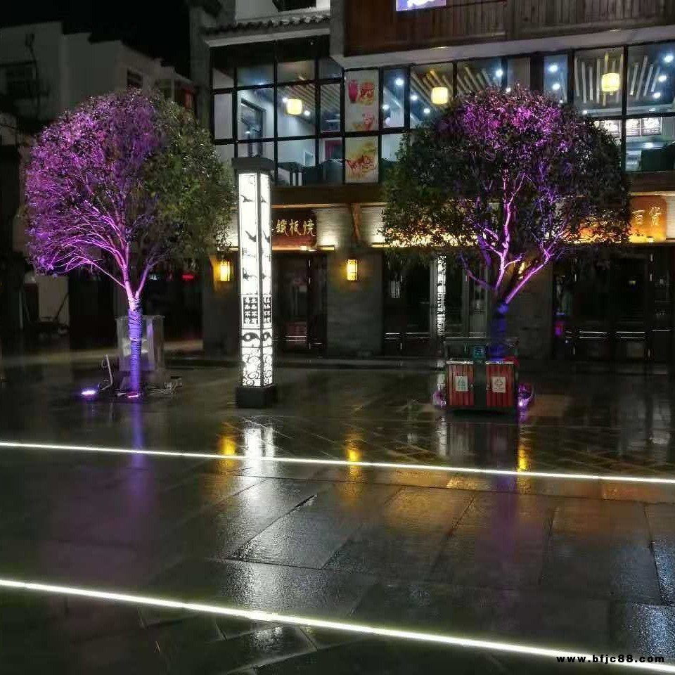 LED景觀燈,園林地面景觀燈，步行街人行道景觀燈