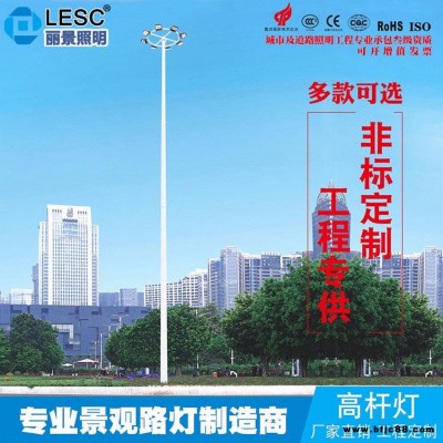 宇泉源頭景觀燈廠家供銷   廣場12米15米景觀燈       籃球場足球場升降LED景觀燈