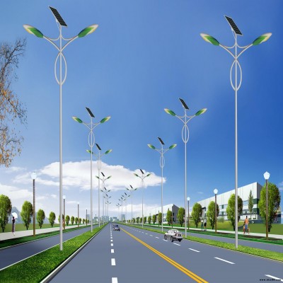 上海景觀燈 景觀燈廠家電話 上海LED路燈價格 舜源景觀燈安裝 質量保障 終身售后