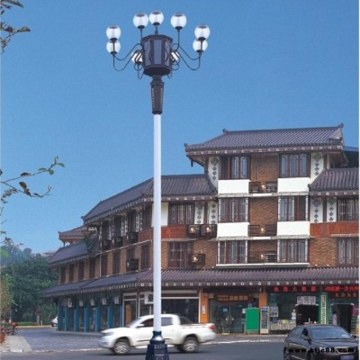 宇泉景觀燈廠直銷  園林大型廣場景觀燈  道路照明戶外led景觀燈可定制