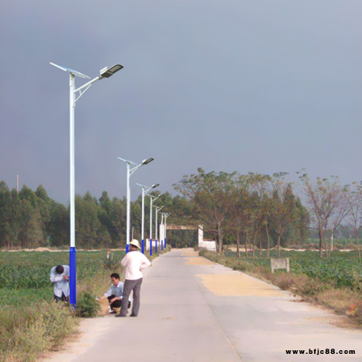 太陽(yáng)能路燈 四川達(dá)州8米路燈庭院燈