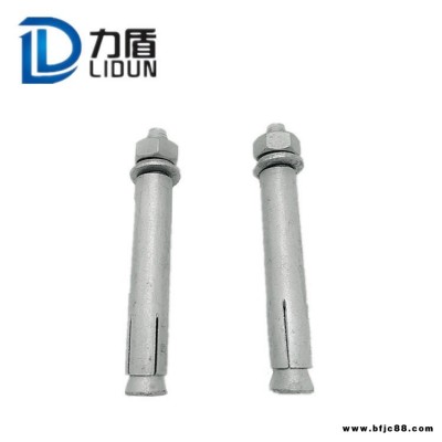 量大從優 質量保障 熱鍍鋅膨脹螺栓 達克羅膨脹螺栓 歡迎咨詢洽談 力盾緊固件