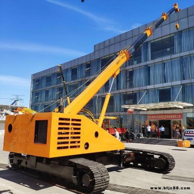 定制生產(chǎn) 伸縮履帶吊 伸縮履帶式起重機(jī) 小型履帶吊車