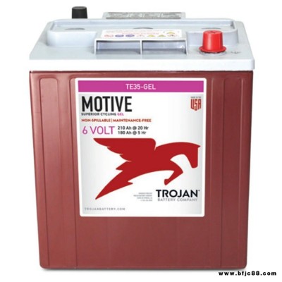 Trojan蓄電池T125 邱健清掃車