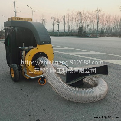 智創 zc-1手推式樹葉收集器 草坪吸葉機 綠化清掃車 手扶式樹葉收集器