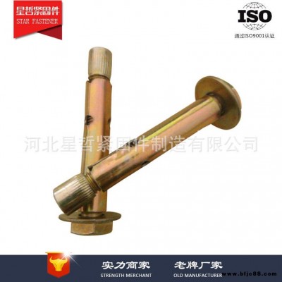 國標外六角套管壁虎膨脹螺絲 4.8級地板膨脹螺栓 地板膨脹螺栓星然規(guī)格齊全拍前聯(lián)系客服