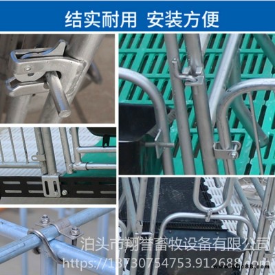 歐式碰鎖加厚 母豬產(chǎn)床門(mén)扣 保育床豬籠門(mén)鎖 翔譽(yù)