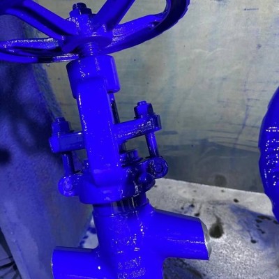 高溫高壓電站截止閥 J61Y 南通體電站閥