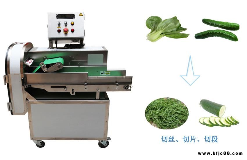 廚房設(shè)備項(xiàng)目建設(shè)公司多功能切菜機(jī) 采用微電腦變頻控制變速，蝸輪、蝸桿式傳動(dòng)設(shè)計(jì)