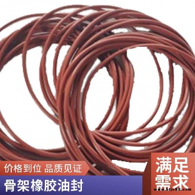 星舟DKB橡膠油封防塵圈 沃爾頂鐵殼防塵密封件橡膠油封進口油封