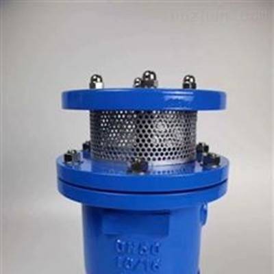 歐業 卷簾式復合排氣閥 DYP4X復合排氣閥