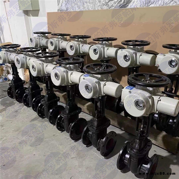 弗羅帕斯DZW30-18T多回轉(zhuǎn)智能一體化電動(dòng)執(zhí)行器 Z30電動(dòng)旋塞閥調(diào)節(jié)執(zhí)行器