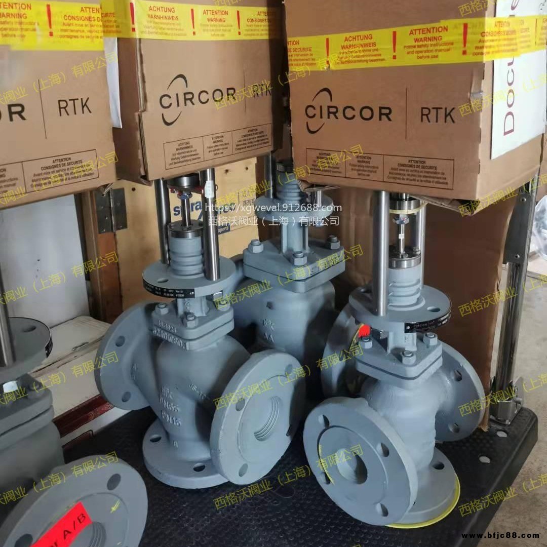 mv5274德國RTK電動三通控制閥 RTK電動調節閥