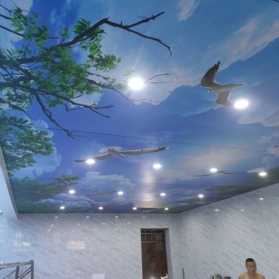 【淮南軟膜天花】蚌埠洗浴游泳館防腐防潮藍天白云吊頂材料環(huán)保 銷售