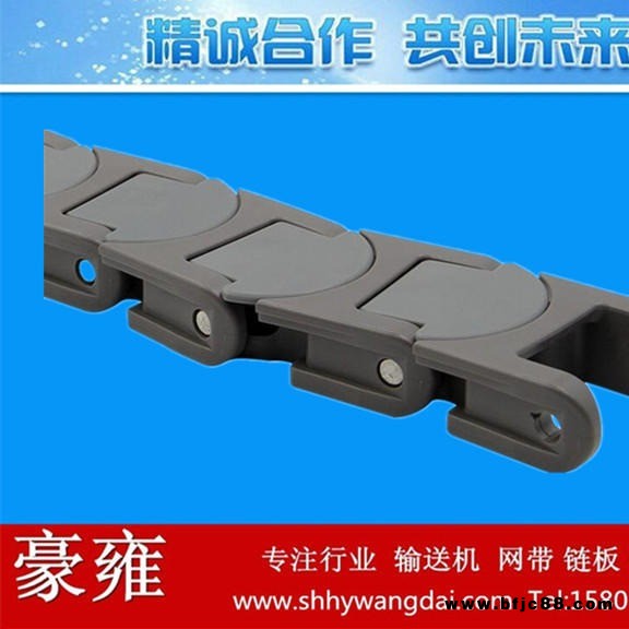 1765無間隙塑料龍骨鏈 工業(yè)龍骨鏈 節(jié)距50mm輸送鏈  河北廠家直銷
