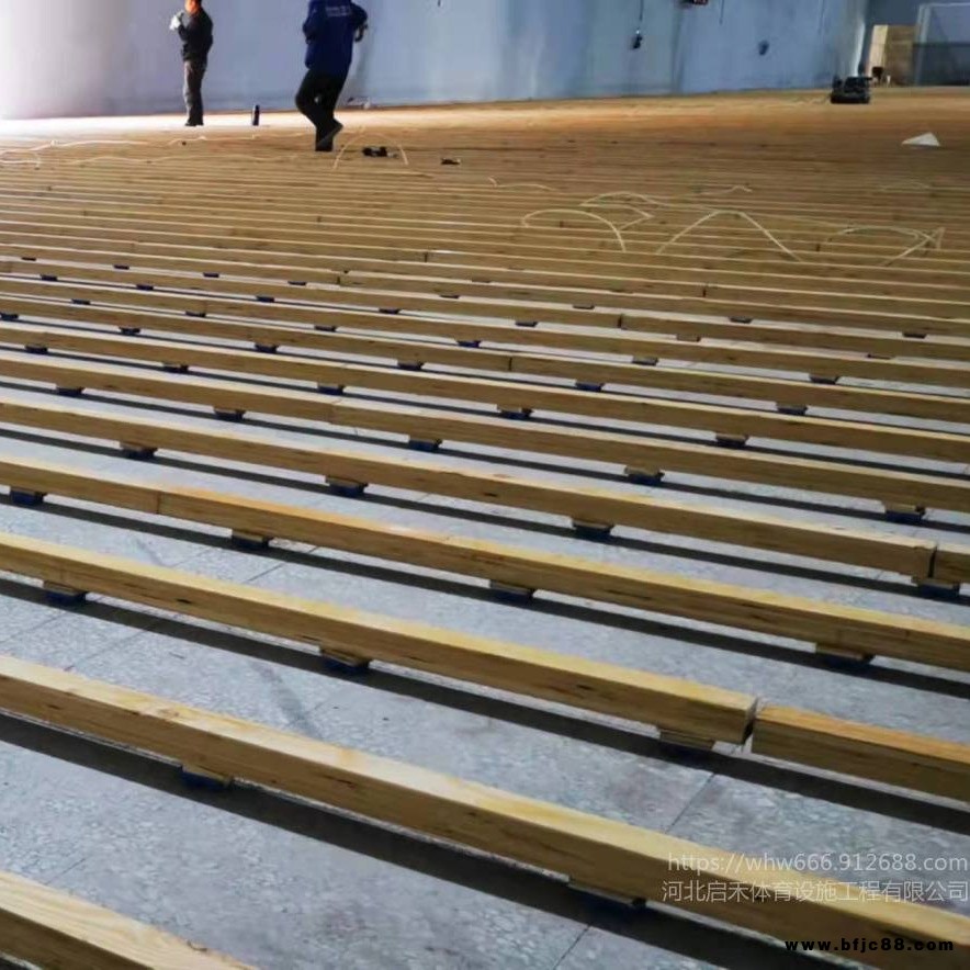 天津籃球訓練館   楓樺木C級  落葉松龍骨  單龍骨結構  啟禾體育