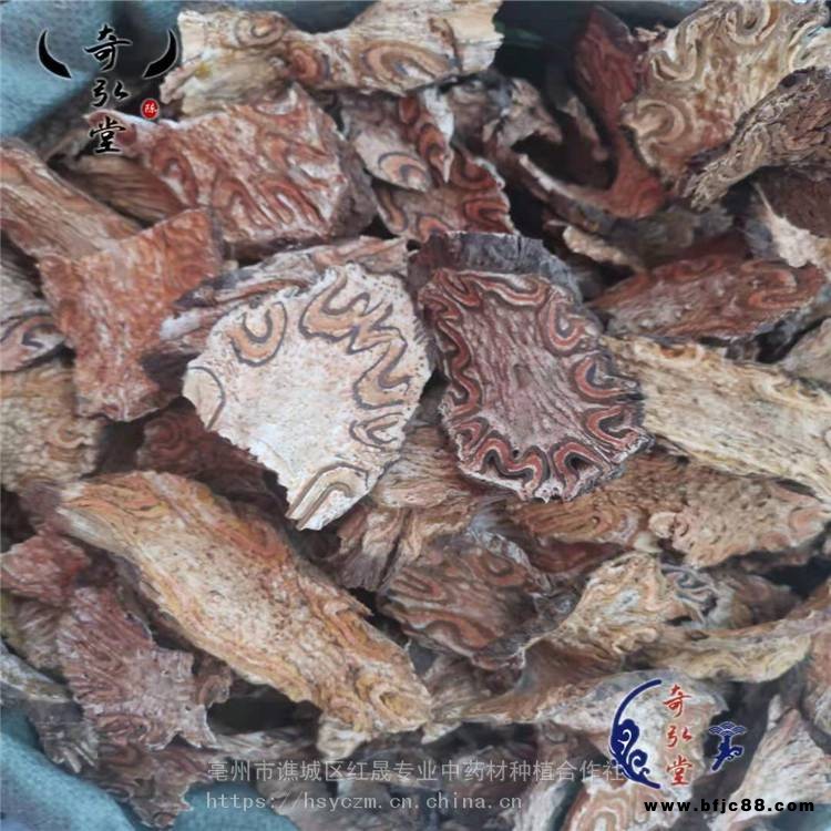 刺桫欏 龍骨風 龍骨風產地 支持定制 紅晟