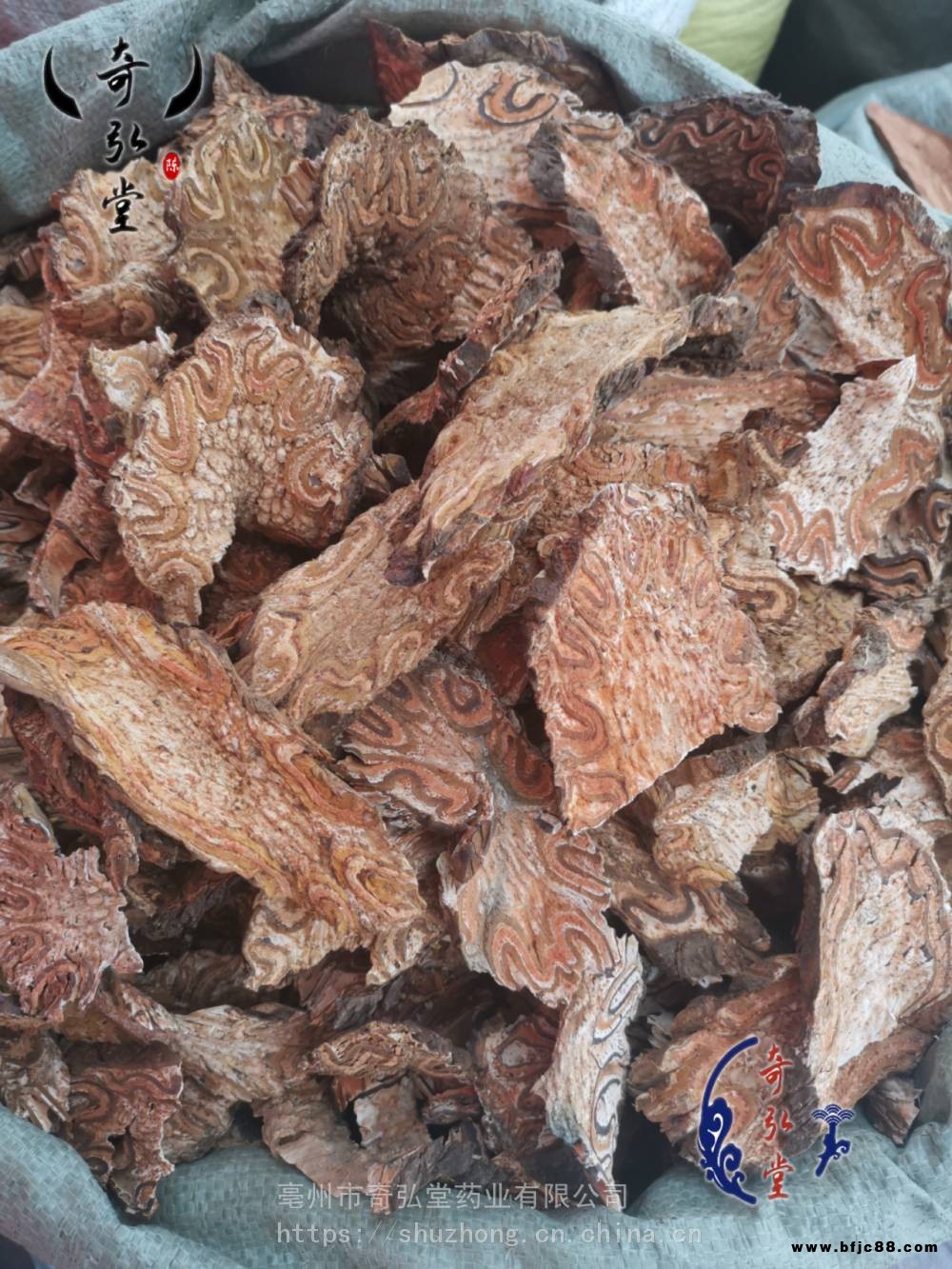 龍骨風價格 中藥材龍骨風市場報價