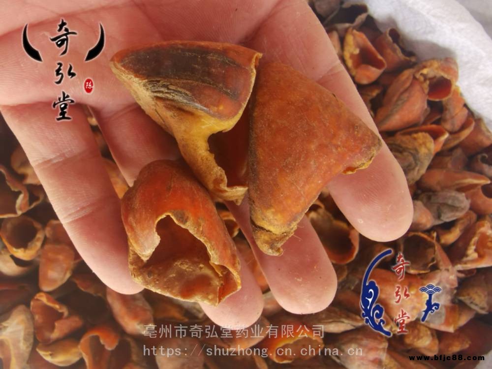 龍骨風價格 龍骨風泡酒的功效