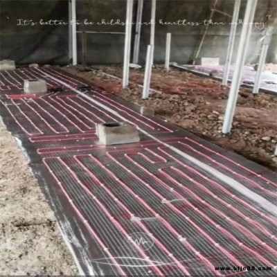 養(yǎng)殖電地暖 豬用電地暖 大型養(yǎng)殖場碳纖維電地暖 豬場地暖 全滿貫專業(yè)生產(chǎn)安裝大量現(xiàn)貨供應(yīng)