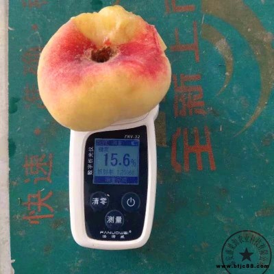 盛果源批發(fā)曦春桃樹苗 5公分粗春雪桃樹苗 冬桃樹苗精品投放