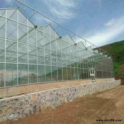冬釣大棚建設(shè)廠家 山東省溫室廠家  金鈉