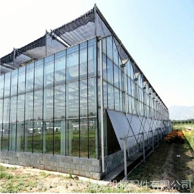 北方冬釣大棚建設 草莓盆栽溫室 專業花卉大棚施工價位