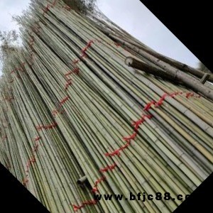 產(chǎn)地批發(fā)養(yǎng)殖大棚蔬菜大棚竹竿西瓜大棚冬瓜架各種規(guī)格竹竿