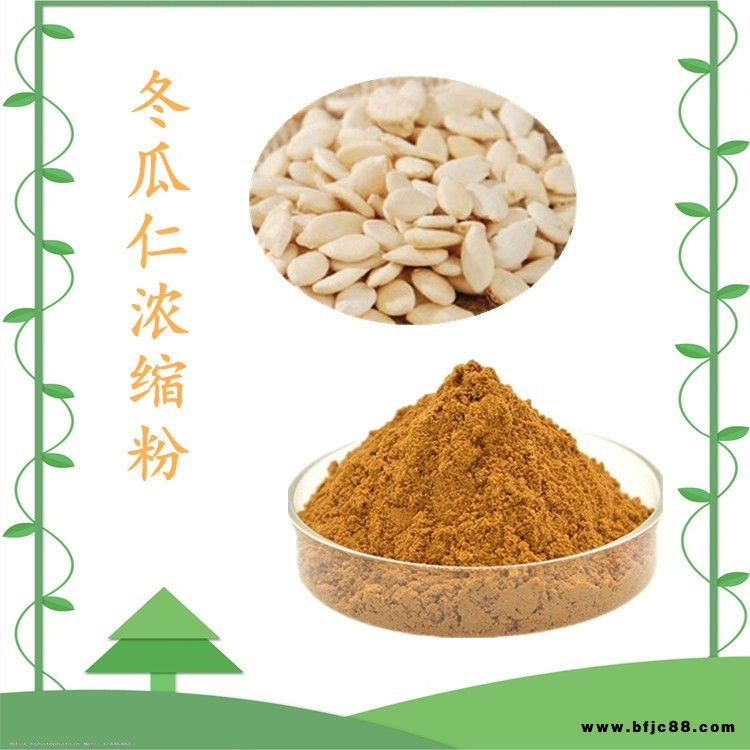 冬瓜仁濃縮粉   水溶性好  粉末細膩 多種規格