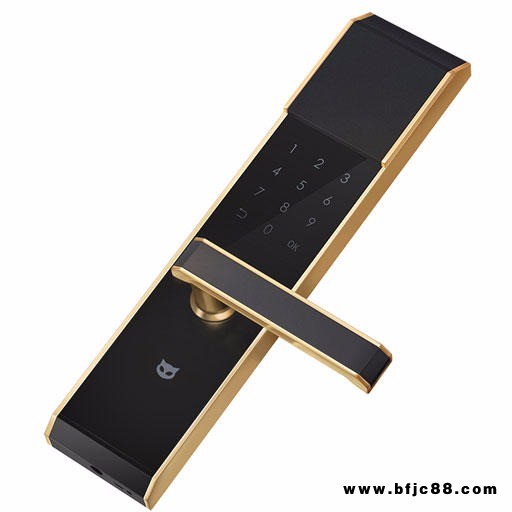 長(zhǎng)沙斑點(diǎn)貓物聯(lián)網(wǎng)指紋鎖品牌你值得信賴