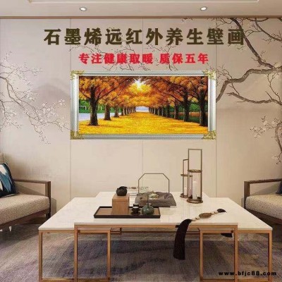 石墨烯取暖器 碳晶板墻暖 家用節(jié)能電暖氣片 壁掛式速熱省電 全屋采暖 智能溫控隨意調(diào)節(jié)室溫